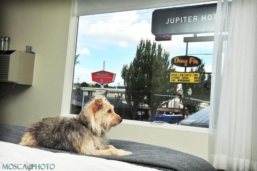 Jupiter Hotel Portland Quarto foto